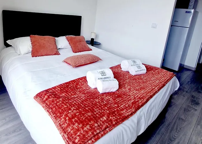 Apartment Alma De Cedofeita Porto